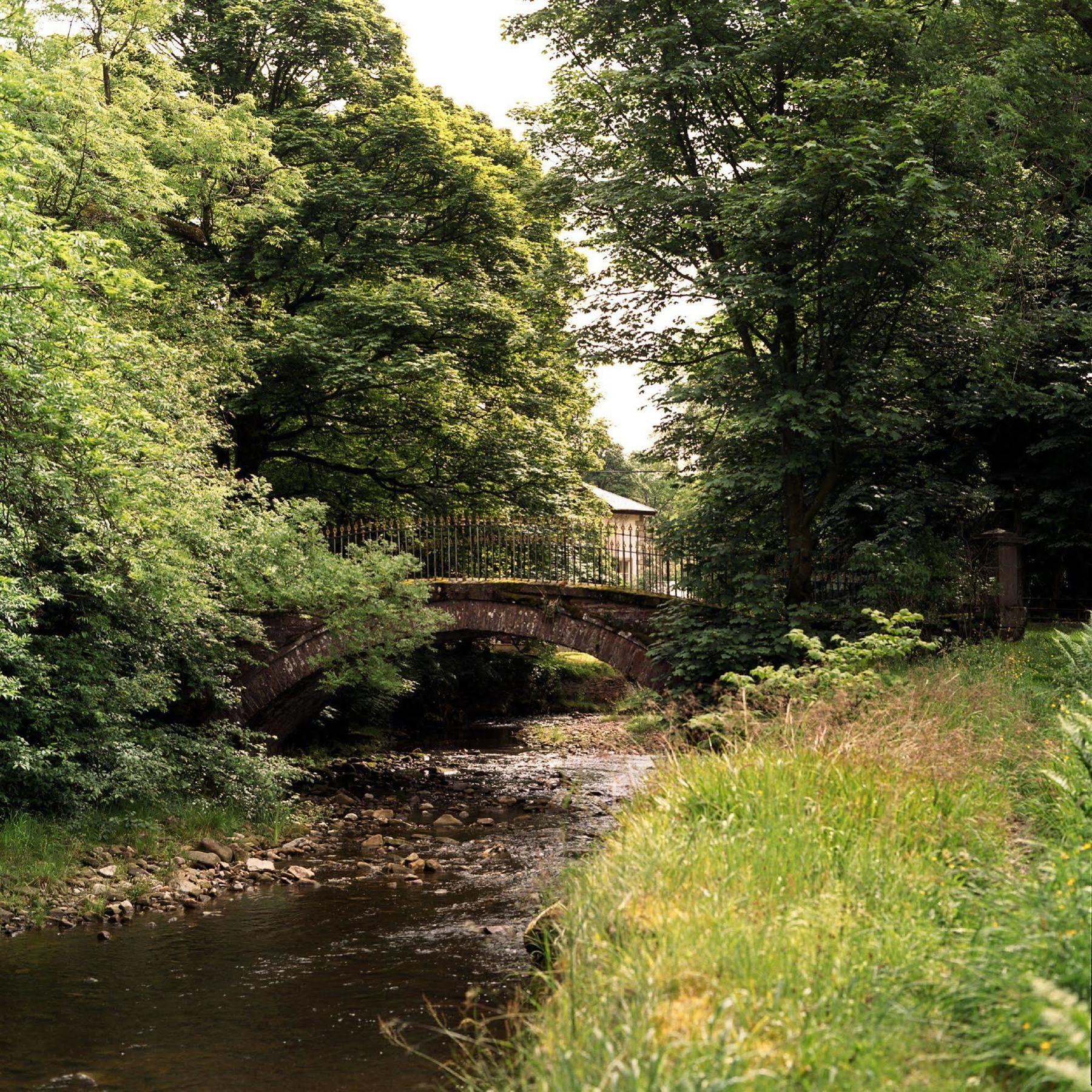 Hotel Lovelady Shield 3*